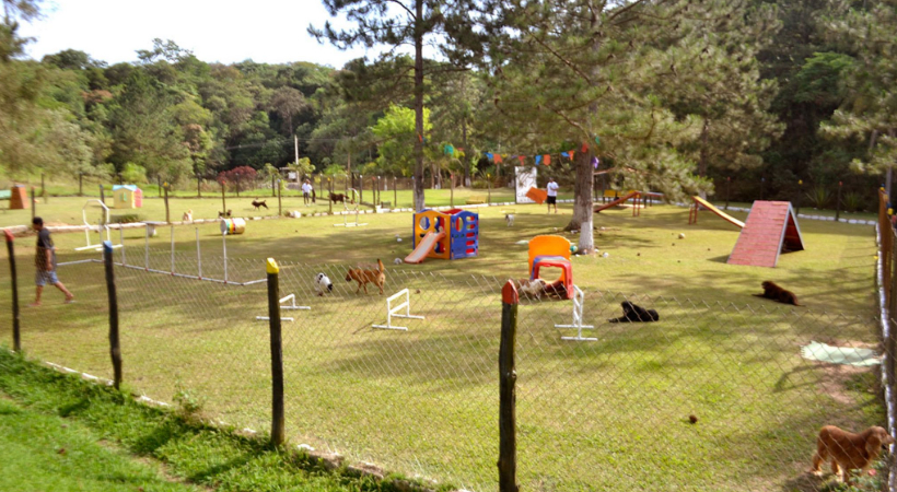 Pousada CãoBoy  VEJA SÃO PAULO