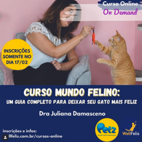 Artigos PET - Os gatinhos mais famosos do mundo 😸 Deixe seu