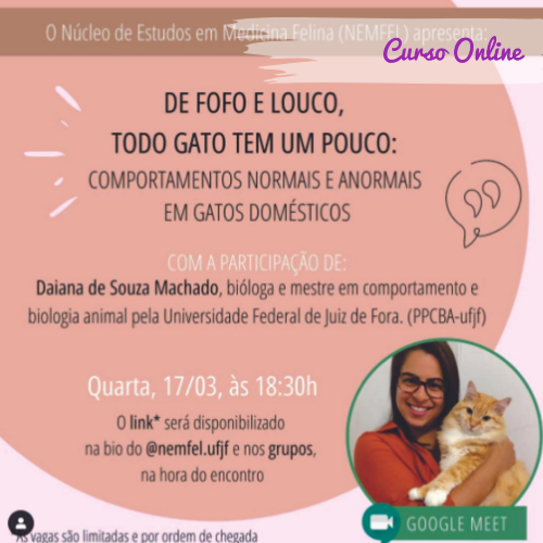 Fofinho Pet Online, Loja Online