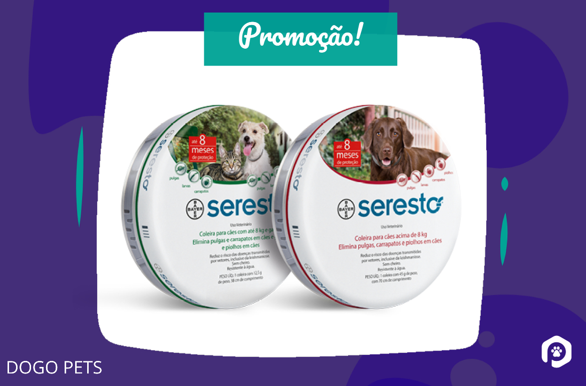 Coleira Seresto Anti Pulgas E Carrapato Até 8kg Oferta