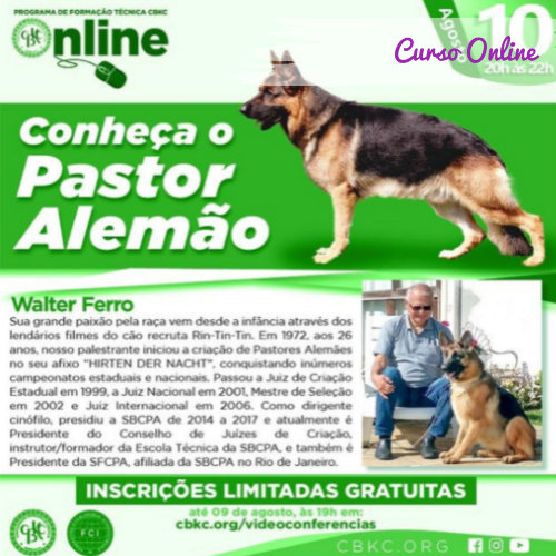 Conheça o Pastor Alemão