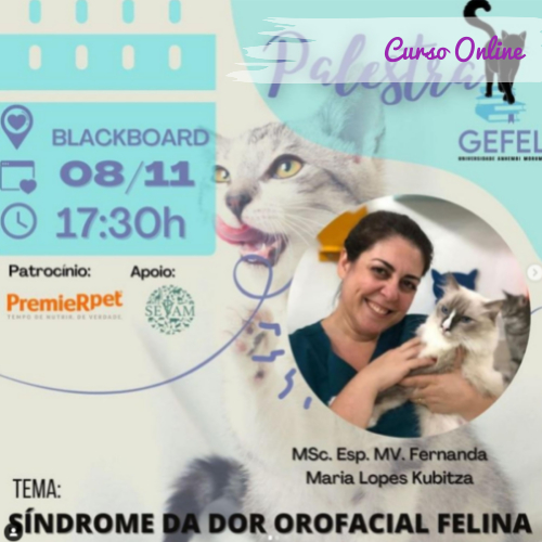 Curso Online: Síndrome da dor orofacial felina * GEFEL UAM 