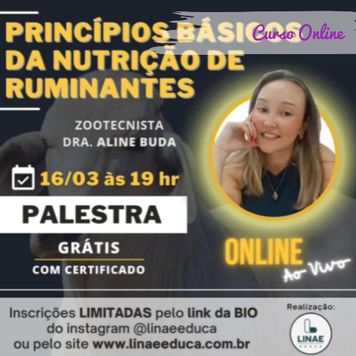 Cursos Online EDUCA - Cursos Gratuitos com Certificado Online