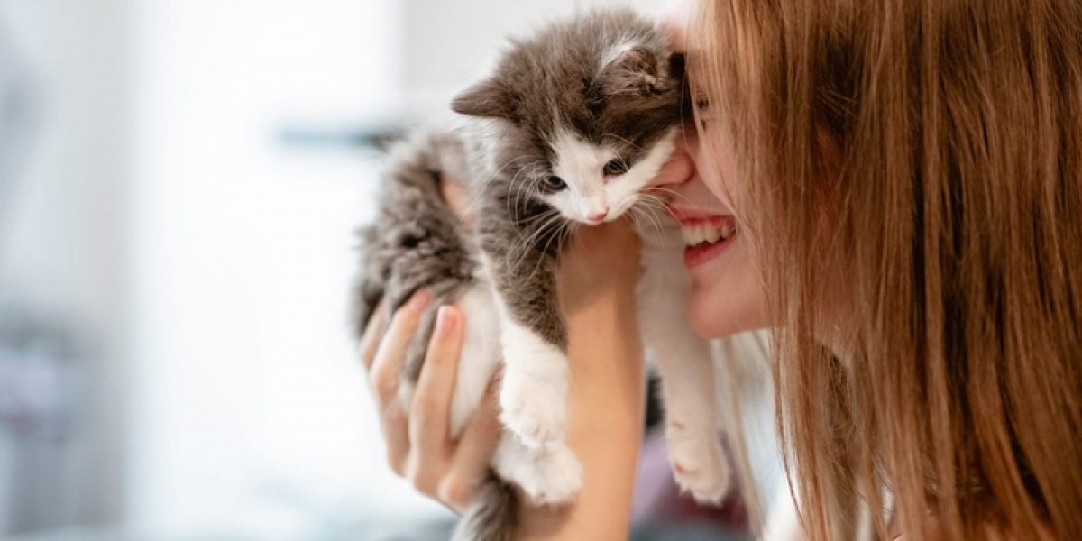 3-dicas-indispensaveis-para-cuidar-de-um-gato-filhote