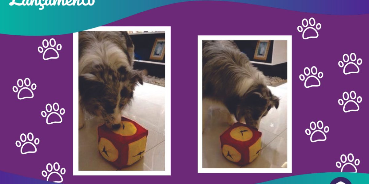 Lançamento - Brinquedo interativo para cachorro Dado da Sorte DoginJoy - 11.12.2020