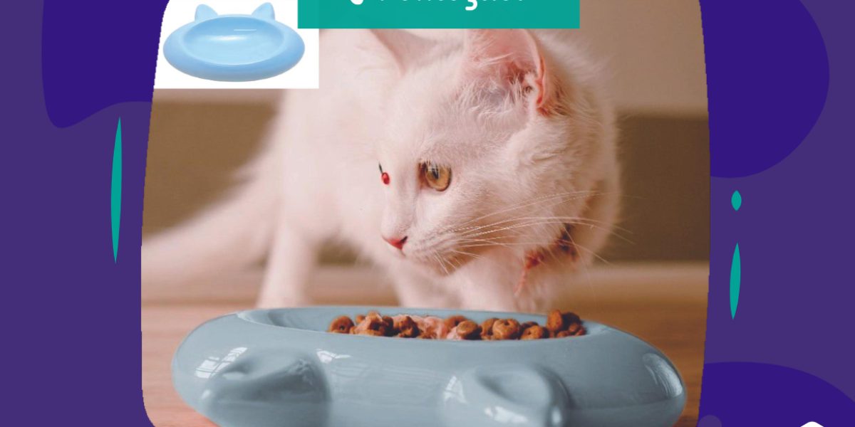 Promoção - Comedouro para gatos de louça Ceramique Catiz com 20% de desconto Petz - 21.01.2021