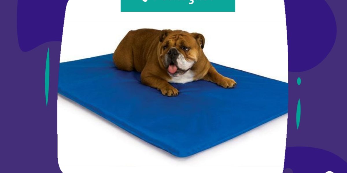 Promoção - Cool Bed Colchão de Água para Cães BitCão - 31.08.2020