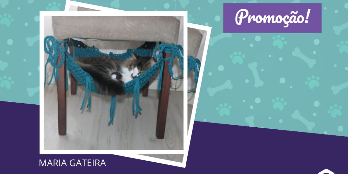 Promoção - Rede de cadeira para gatos em fio de malha com 23% de desconto Maria Gateira - 18.06.2021