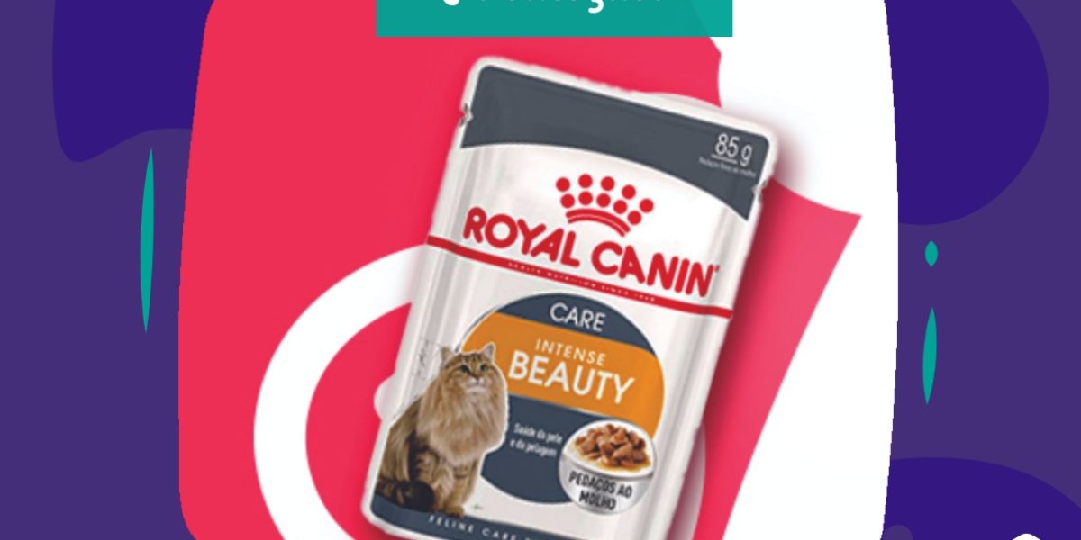 Promoção - Royal Canin sachê Intense Beauty para gatos compre 5 leve 6 BitCão - 31.10.2020