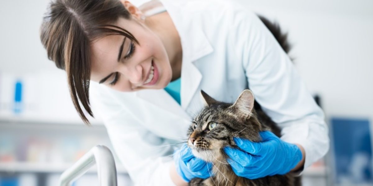 a-importancia-de-levar-o-seu-pet-regularmente-ao-veterinario
